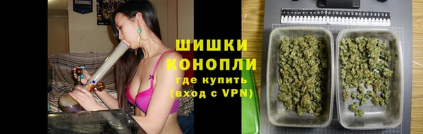 амф Новодвинск