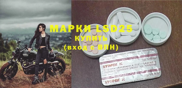амф Новодвинск