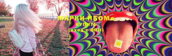 амф Новодвинск